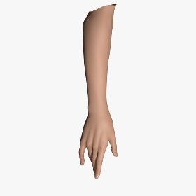 Posed Female Hand